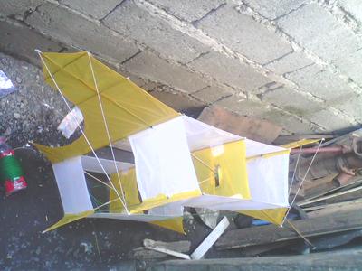 Bamboo and paper Cody. Bamboo and paper Cody.