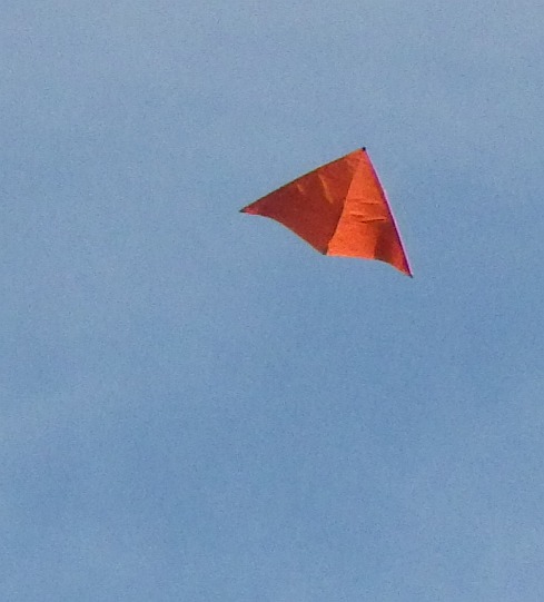 The 2-Skewer Delta kite in flight. The 2-Skewer Delta kite in flight.