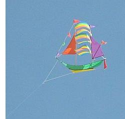 http://www.my-best-kite.com/images/different-kinds-of-kites-novelty.jpg