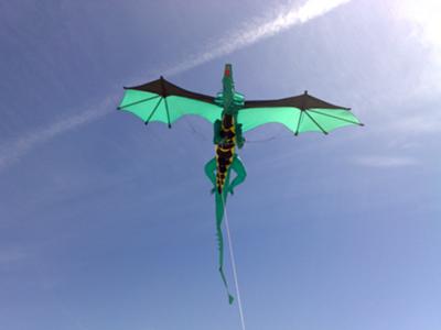 dragon kite 21224126