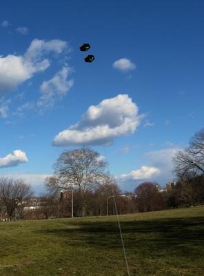Box kite heading up Box kite heading up