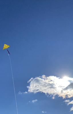 It's All Yellow It's All Yellow