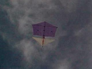 Roller Kite In Flight Roller Kite In Flight