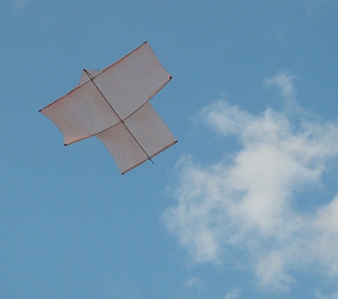 Types Of Kites - 8 Popular Single Liners