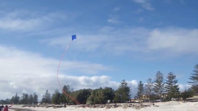 PETER POWELL Kite Tail 76ft SKY STREAMER in GREEN 