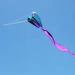 This simple guide shows you how to fly a kite whether it's a single-liner or a steerable 2-string type. Includes my tips on weather and where to fly.