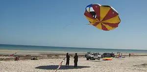 Here's a selection of the very best kite pictures we managed to capture at the Adelaide International Kite Festival in March 2009.