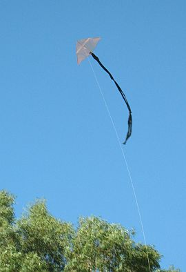 The MBK 1-Skewer Delta kite in flight.