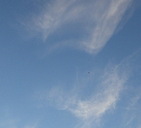 The MBK 2-Skewer Delta kite up very high.