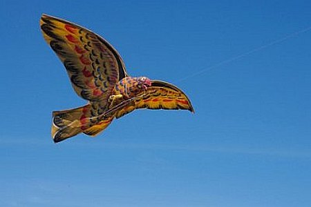 My Bali Eagle kite in flight.