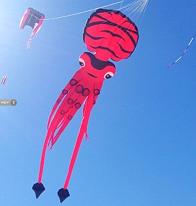 Large inflatable squid kite in flight.