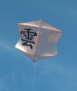 MBK Rokkaku kite.