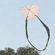 The MBK 1-Skewer Barn Door kite.
