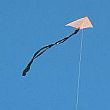 The MBK 1-Skewer Delta kite.