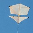 The MBK 2-Skewer Roller kite.