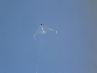 Needs some trimming to fly straight. 