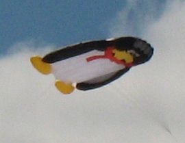Inflatable kite - a humorous flat penguin.