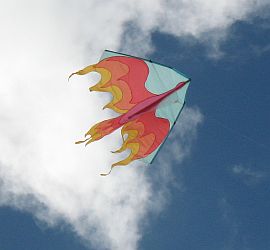 Firebird delta kite with pale blue leading edges.