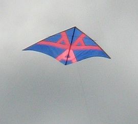 Pink and blue Delta kite.