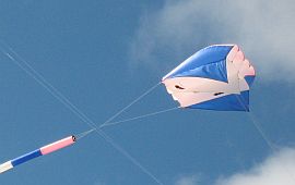 Flowform, pink and blue.