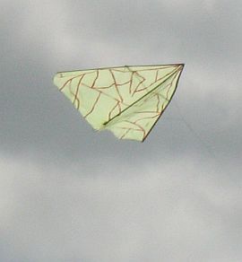 Delta kit, light green with brown veins