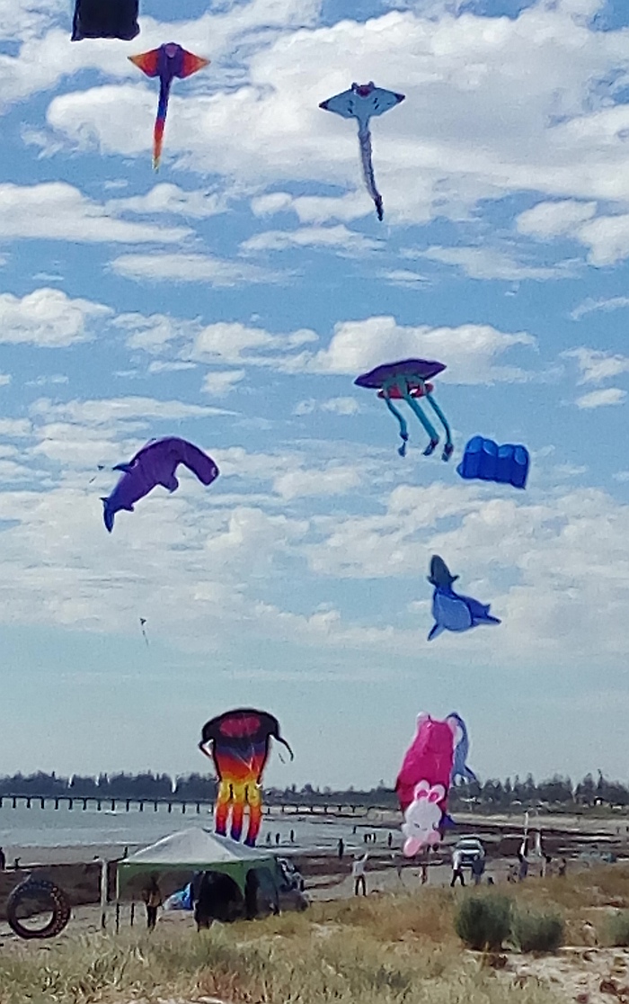 Adelaide Kite Festival 2017
