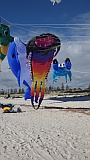 Adelaide Kite Festival 2016 - crab inflatable.