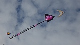 Adelaide Kite Festival 2016 - art delta kite.