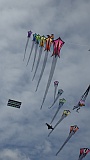 Adelaide Kite Festival 2016 - trains of art kites.