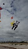 Adelaide Kite Festival 2016 - panda inflatable.