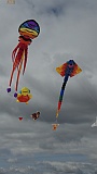 Adelaide Kite Festival 2016 - squid and ray kites.