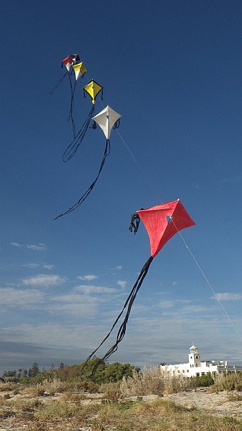 Diamond train in flight - carbon spars with Tyvek sails. Kite train posts - Diamond train in flight