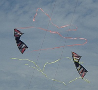 2 lines Stunt Delta Kite 160x75 cm Bee-Kite Mission Trick complete with lines and straps handles Ready to fly 