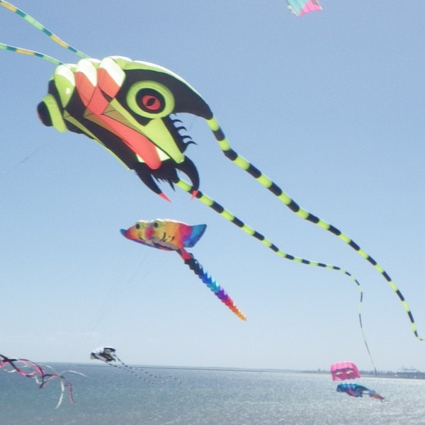 Kite?” Where did that come from?