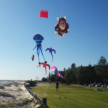 akfa kite fly posts 2018