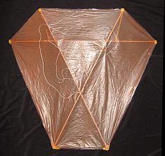 Dowel Barn Door from the front.