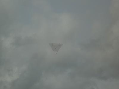 Barn Door at Willamette park