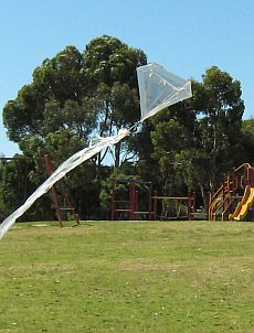 Barndoor Kites - early 1-Skewer barndoor