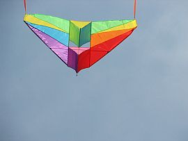 A cool and colorful Delta Conyne kite in flight.