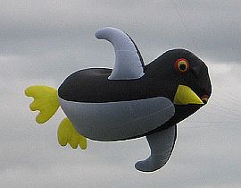 A cute and adorable Penguin inflatable kite. But BIG.