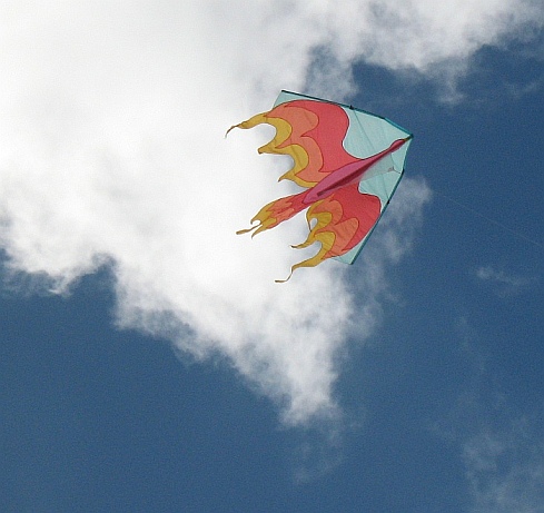 Fishing Kite wind tech  Kite, Kite making, Kite sailing