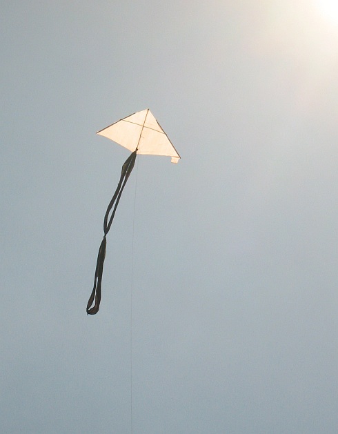 The 1-Skewer Delta kite in flight