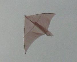 The very first Dowel Delta kite in flight. The very first Dowel Delta kite in flight.