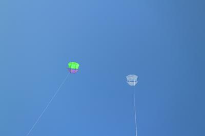 Both flying in a steady breeze