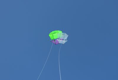Do kites need to do social distancing?