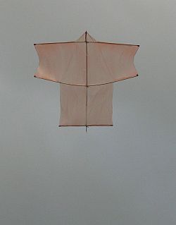The MBK Dowel Sode kite in flight.