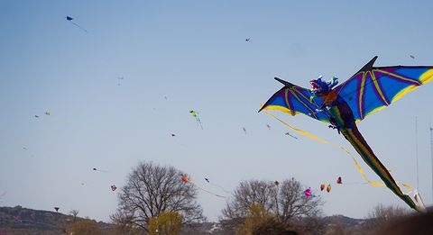 Large 3D Dragon Kite - Picture Pretty Kites