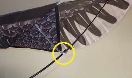 Eagle assembly - step 12