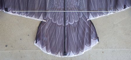 Eagle assembly - step 3