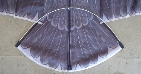 Eagle assembly - step 4